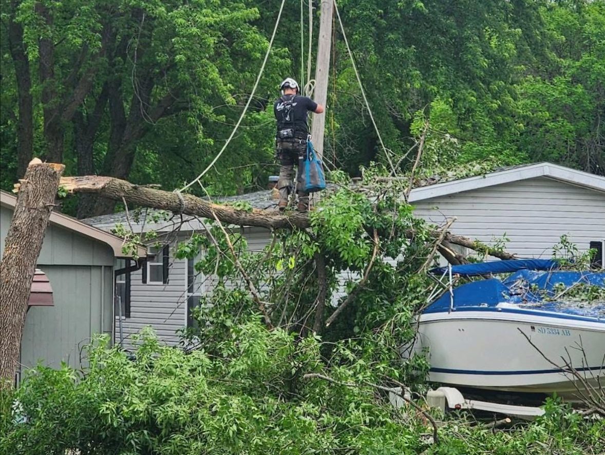 Syner Tree Our Tree Services - Snyder Tree Service